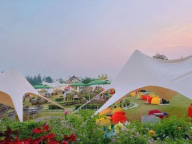 Eo gió bãi ngang - Điểm check-in nổi tiếng Thanh Hóa