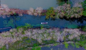 Danh thắng Kim Sơn Thanh Hóa - Chốn bồng lai tiên cảnh ở xứ Thanh