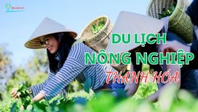 Khám phá những điểm du lịch nông nghiệp Thanh Hóa thu hút du khách nhất hiện nay