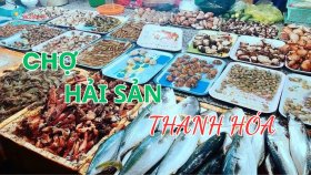 Chợ hải sản Thanh Hóa - Top những nơi nổi tiếng tươi ngon, giá rẻ