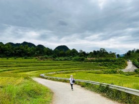 Tháng mười lên Son Bá Mười ngắm lúa chín, đón gió lạnh đầu đông