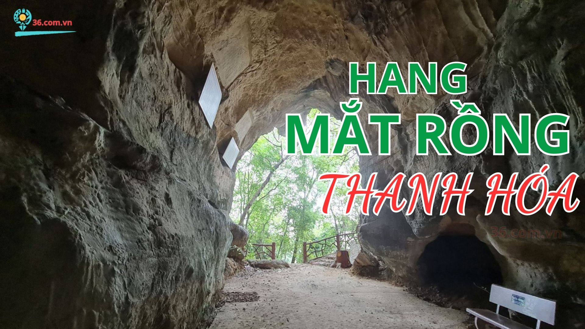 Hang Mắt Rồng Thanh Hóa