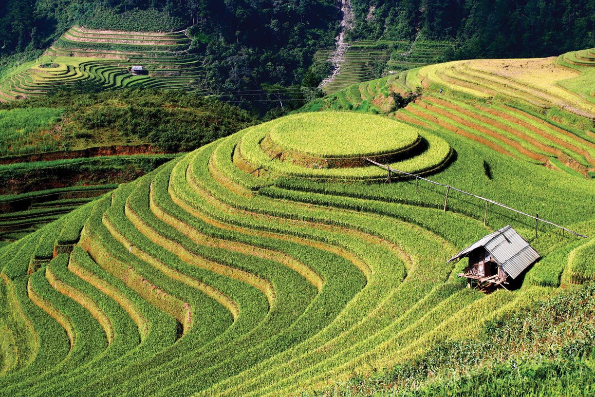 Mu Cang Chai 01