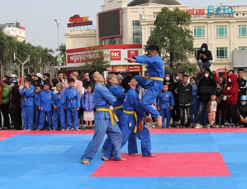 vovinam tai tuong dai le loi