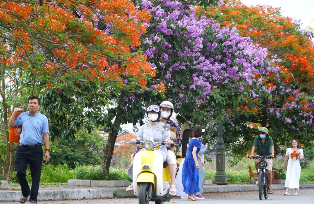 hoa phuong