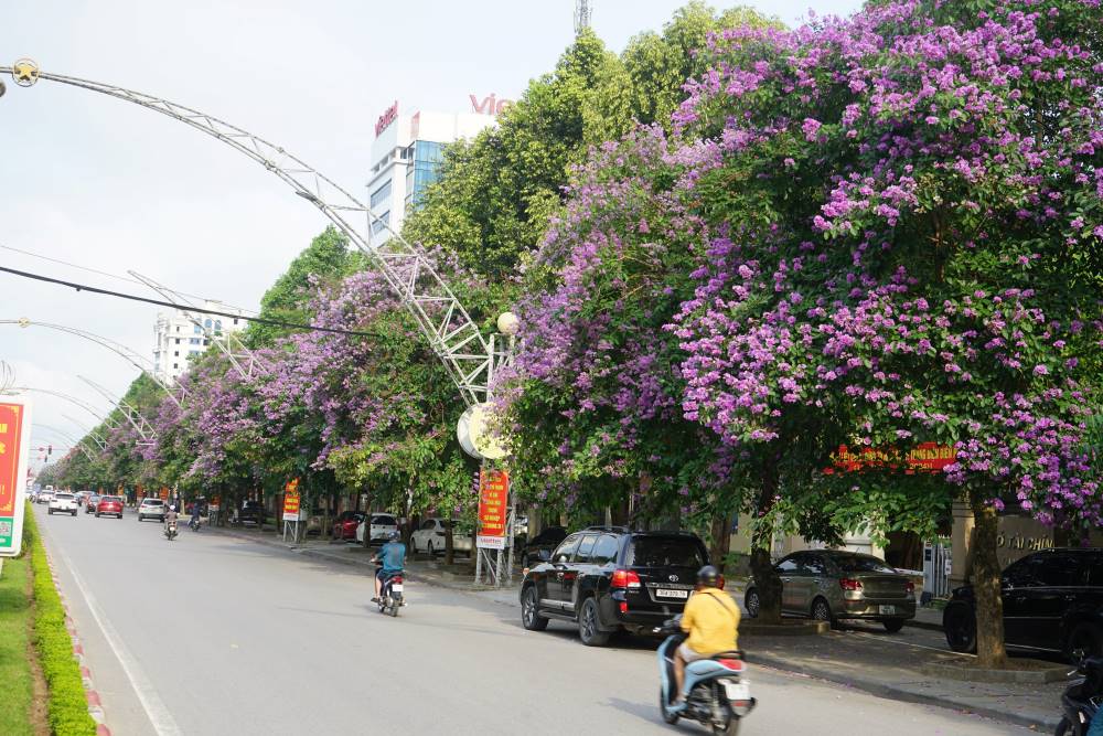 Bang Lang Tim Dai Lo 01