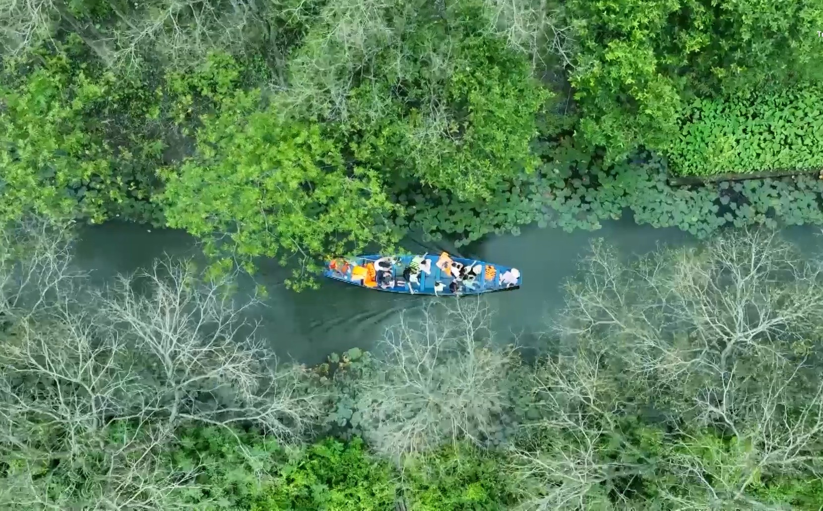 Du lịch Thanh Hóa mùa thu – Trải nghiệm trọn vẹn vẻ đẹp xứ Thanh