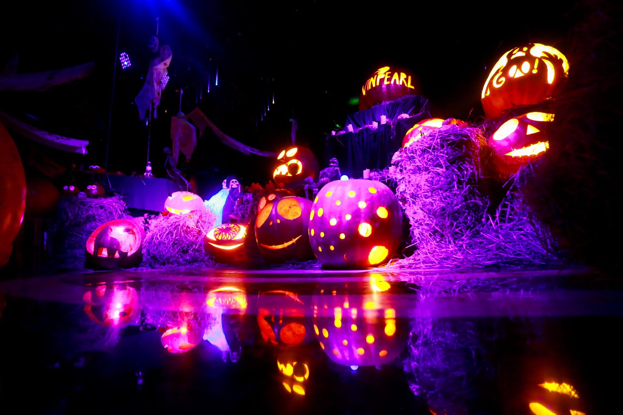 tim hieu ve halloween 4 1690530383