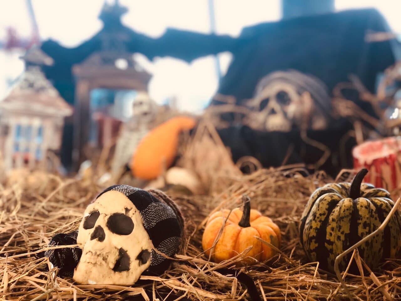tim hieu ve halloween 6 1690530227