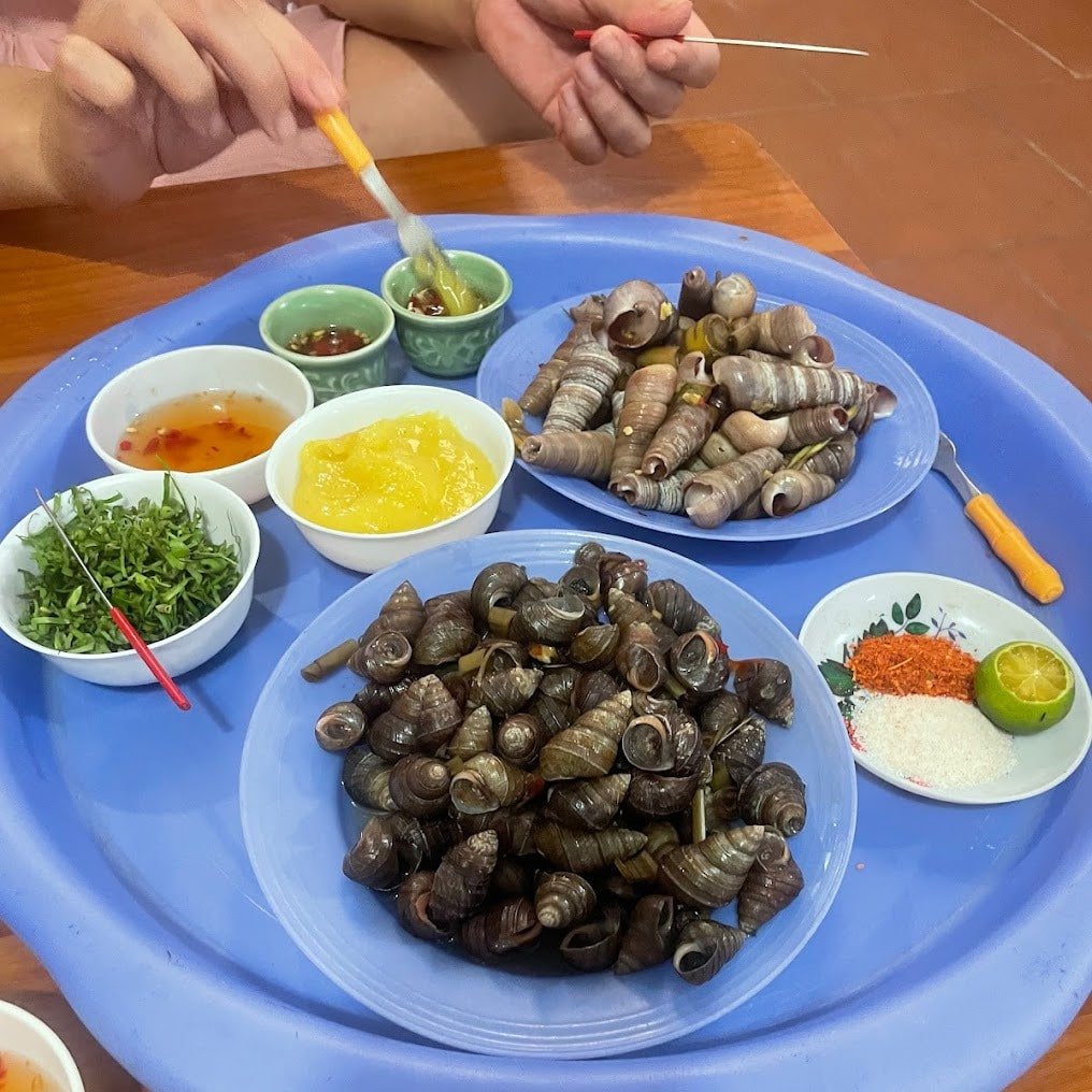 oc 13 ben ngu thanh hoa