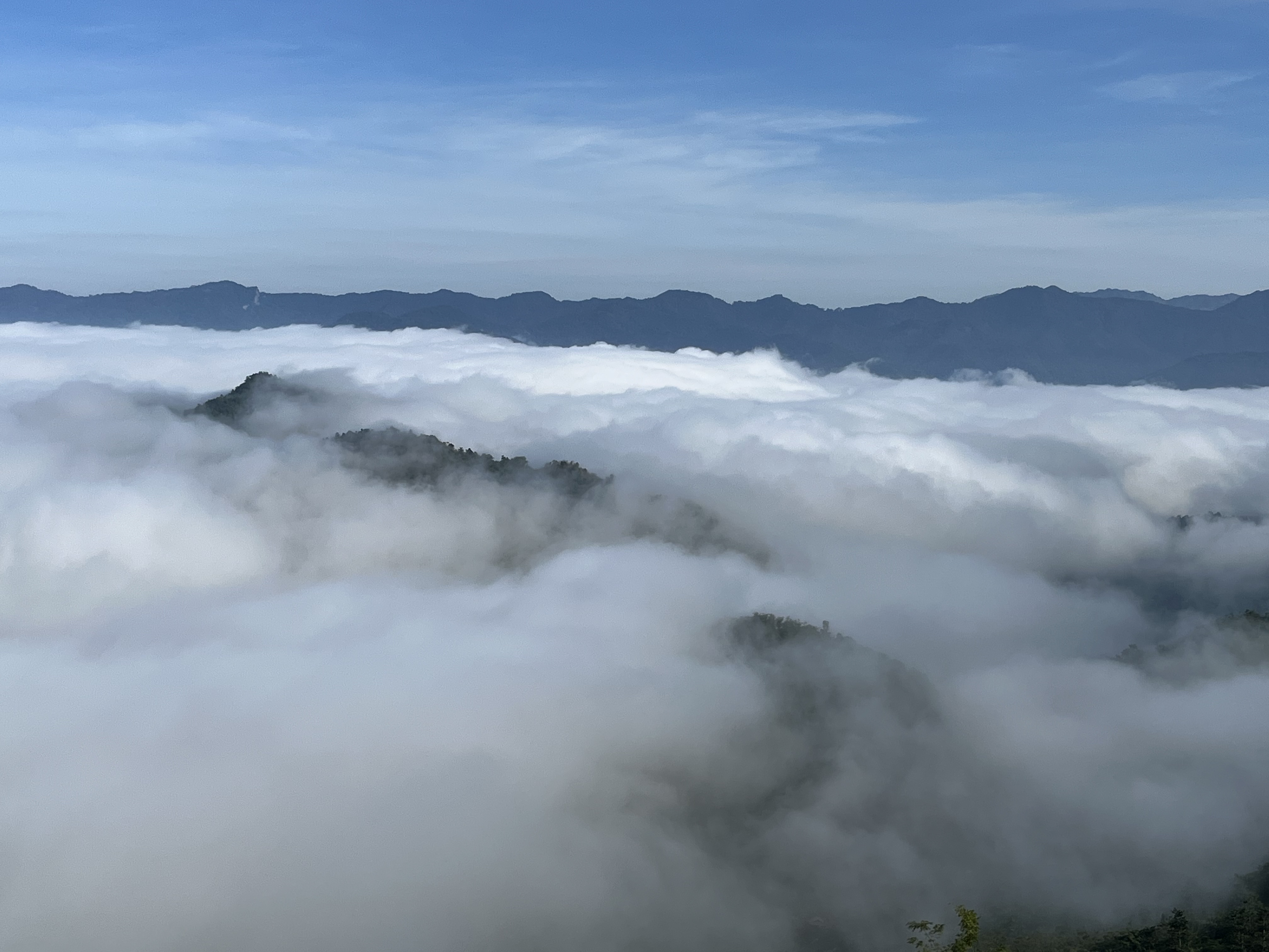 1b1fdf90 0c85 4070 b975 f4ef2467c1e5