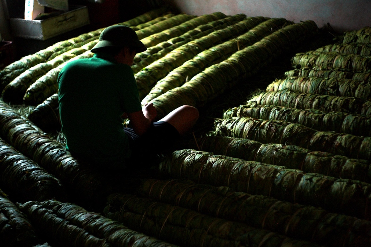 thuoc lao thanh hoa 2