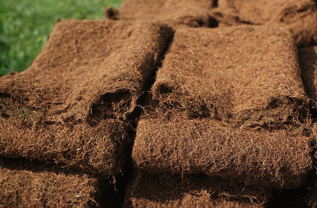 thuoc lao thanh hoa 4